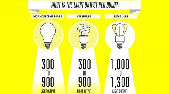 Facts on LED Lights